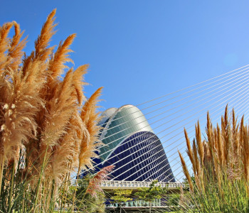 Donnavventura and me in Barcelona!