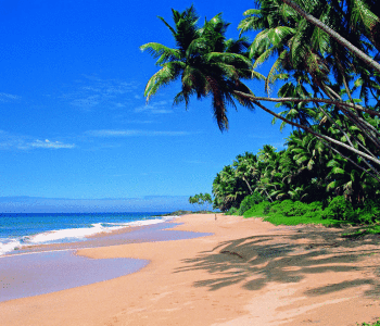 Goa: the hippy paradise