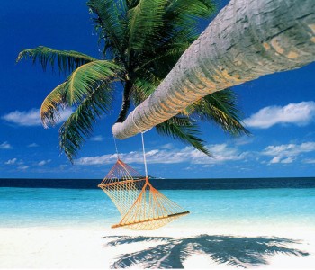 The real spring break