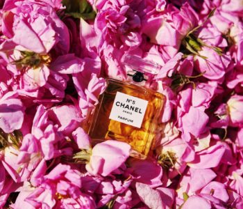 la rosa di maggio, secondo Chanel.